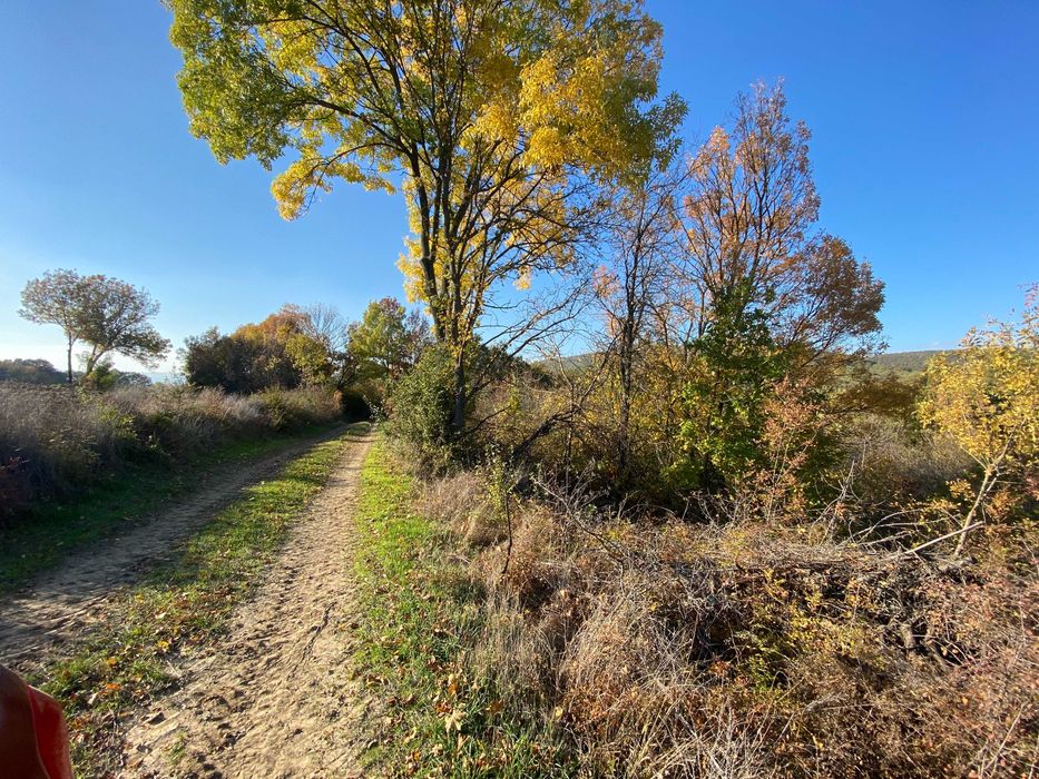 Продава се Земеделски имот в Варна, Автогара -  кв.м за 235 €/дка - Снимка #5