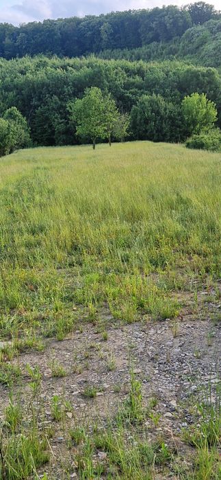 Vând teren intravilan între Baile Felix și Hidisel de jos