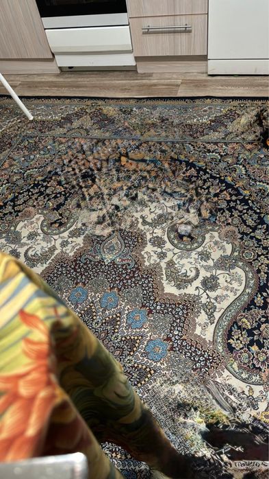 Продам ковры 2*3 и 2,5*3,5