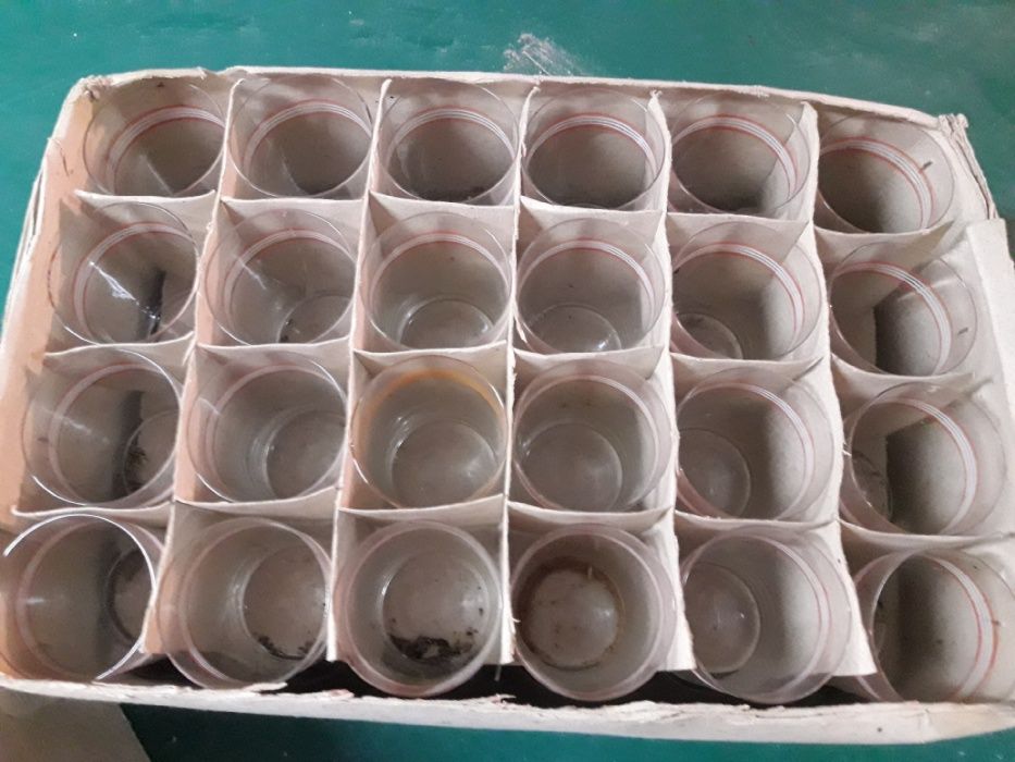 Стаканы с тонкого стекла.