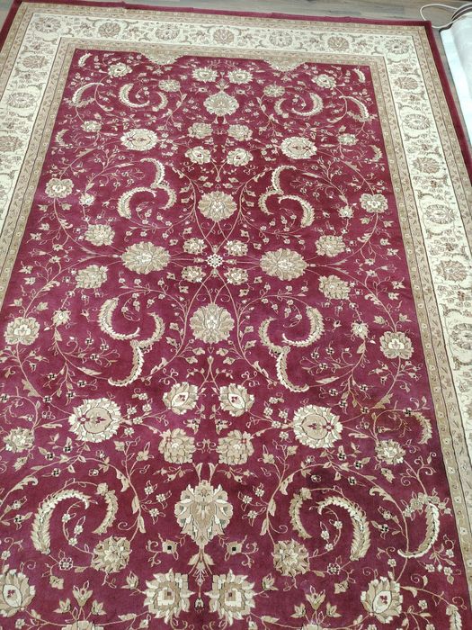 Кавёр шерстяной,  толстый