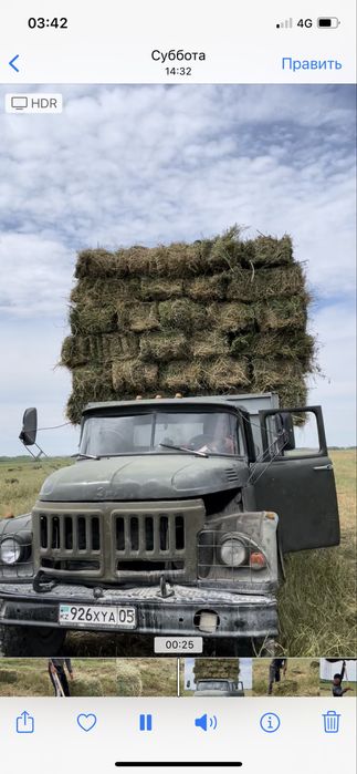 Продам чистый клевер жонышка