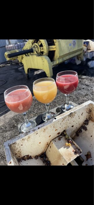 Vand must de calitate,prosus acasă,usor inasprit