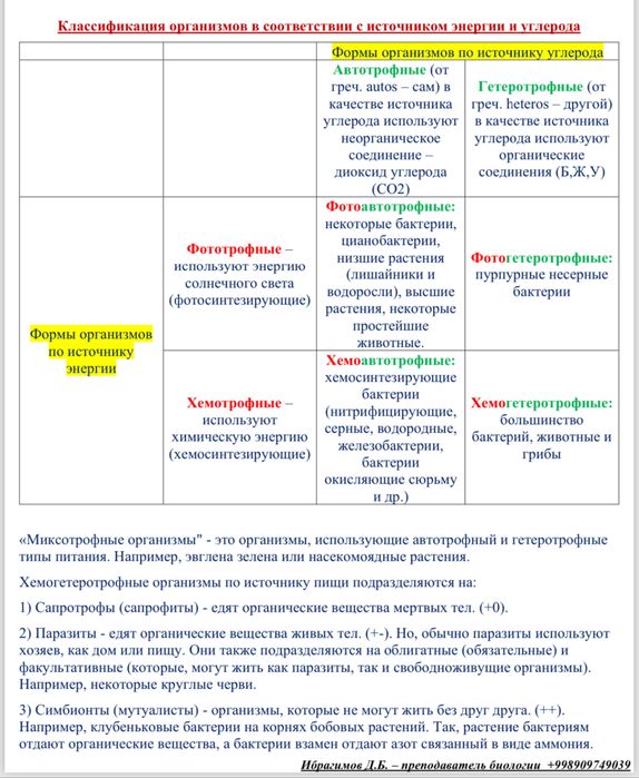 Репетитор по биологии