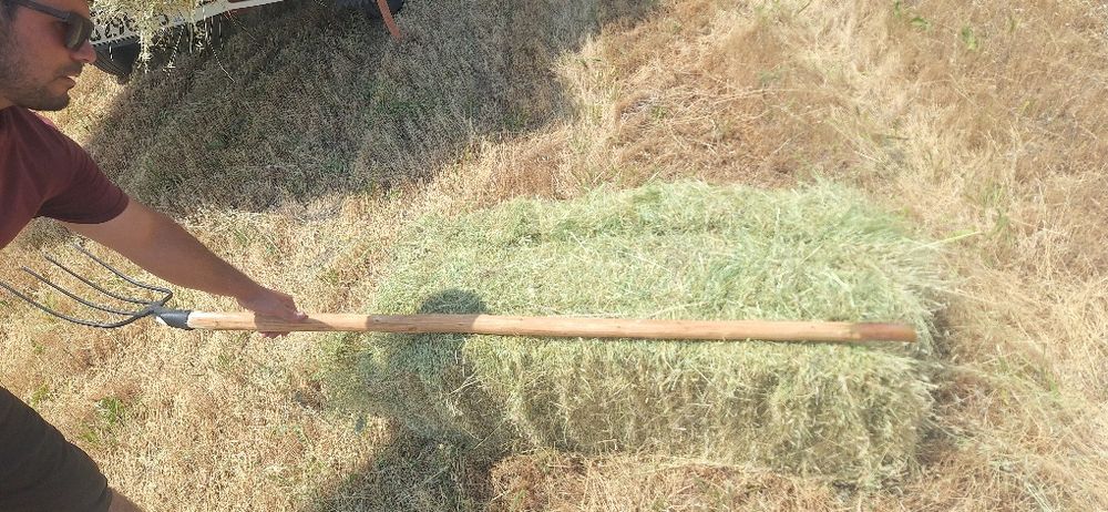 Прис сотилади 1 метирли дагал хашак