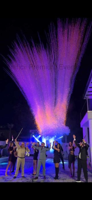 Artificii 2026 zi/seara Gender reveal