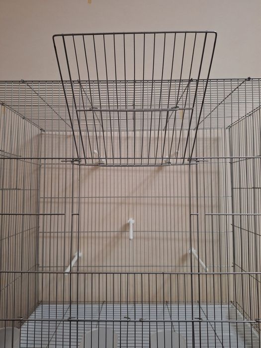 Qafas valer sotiladi