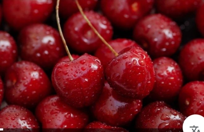 Вишня и ирга дачная!