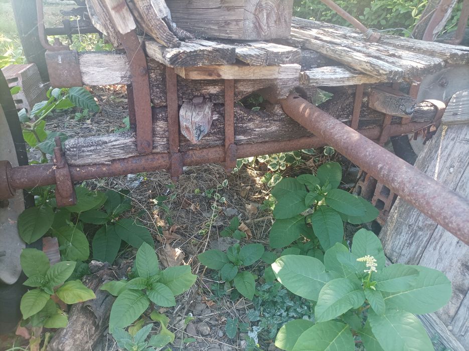 Каруца за декорация.