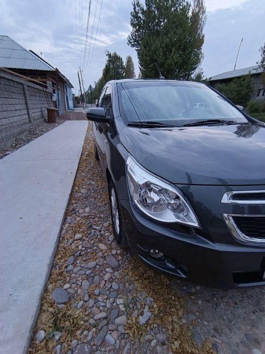 Other Cobalt 2023 — 3