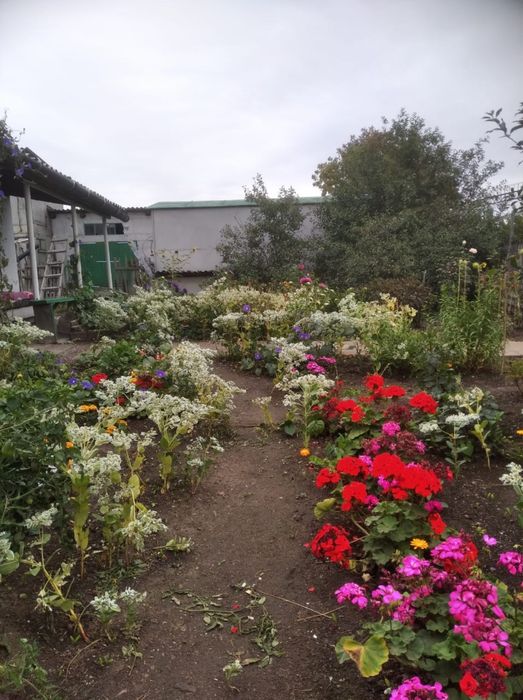 Продажа или обмен