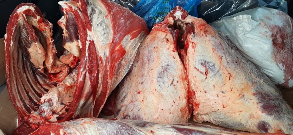 Продам мясо говядины(молодняк)