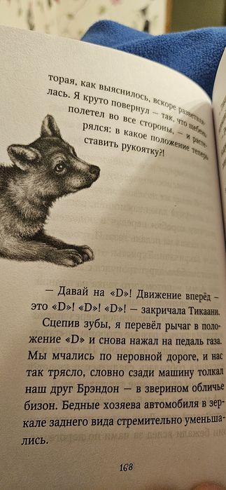 Катя Брандис "Дети леса". "Караг и волчье испытание"