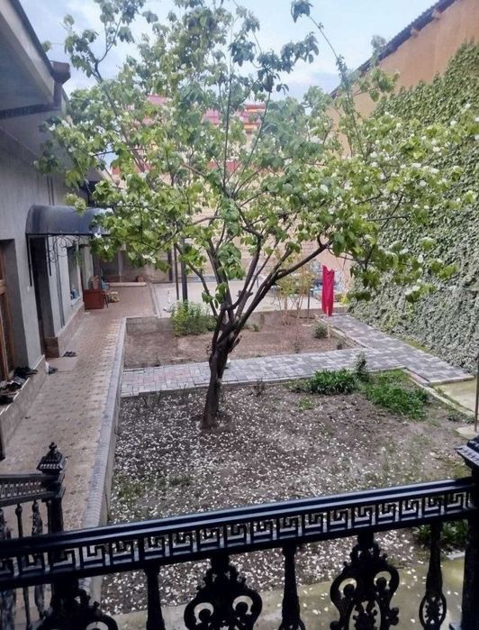 Taravmatalogiya yangiravot 4sotixli hovli sotiladi