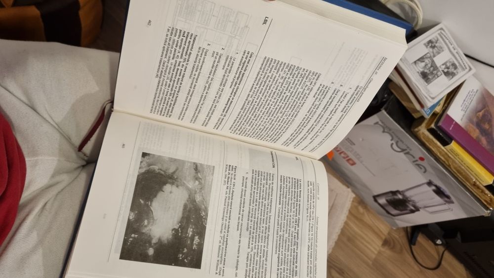 Compendium Ginecologie Novak 1999