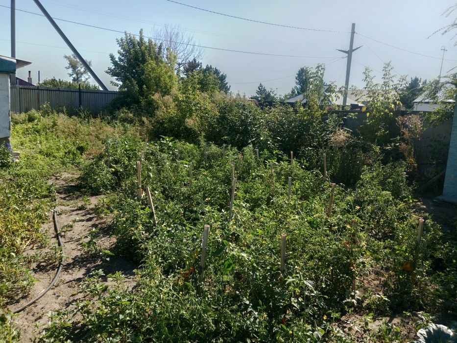 Продам дом срочно