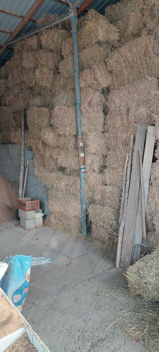 Преслар беда сомон сорка