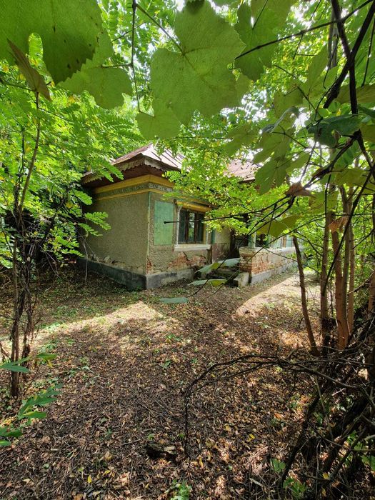 Teren 5.725 m Tomsani, Dâmbovița, la drum județean