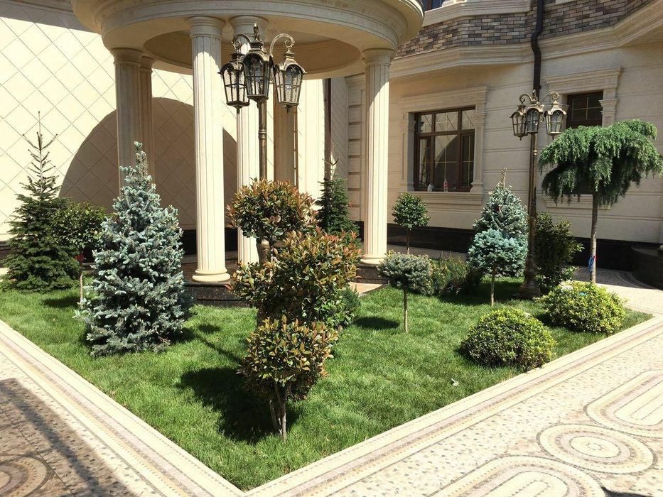 Богбон. Садовник.