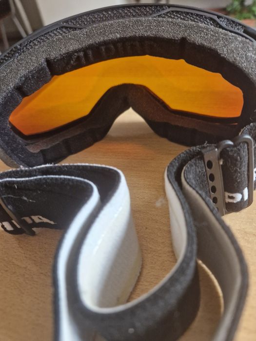 ochelari ski si snowboard Unisex Alpina estetica