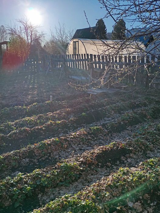 Продам дачу и отдельный огород с домиком