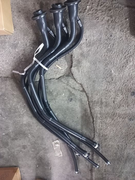 Matiz garlavina. Bak