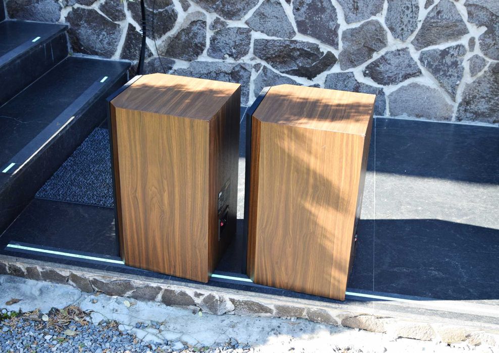 Boxe Focal JMLab DB 19