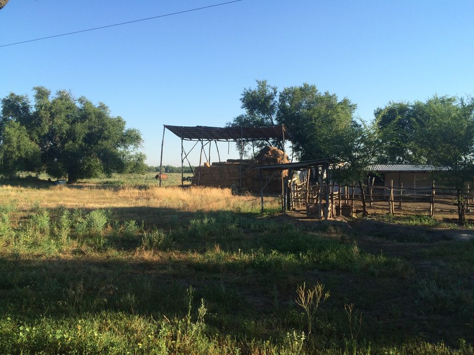 Продам участок,под ЛПХ,КХ