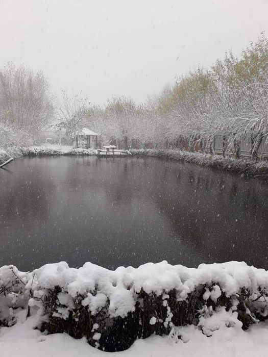 Proprietar vand  teren 4400mp  si casa 400 mp in orasul Bacau