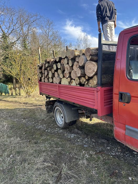 Vand lemne diferite esente