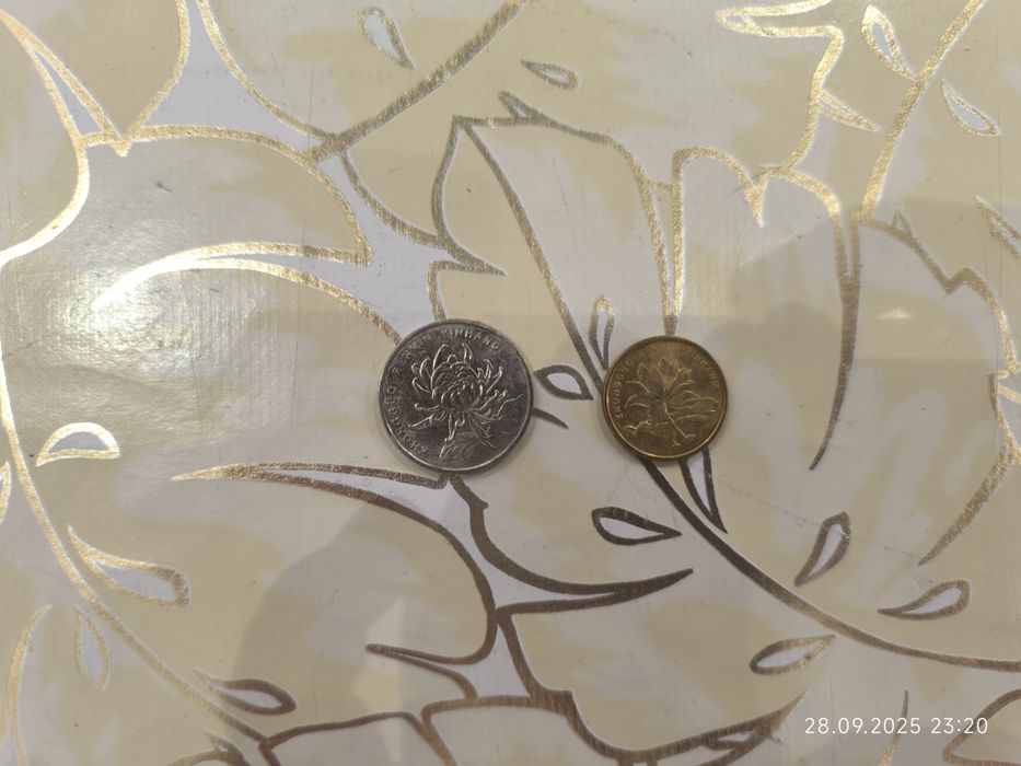 Tangalar/монеты So'm, Rubl, Yuan, Lira