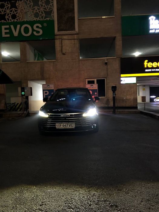 BYD chazor suhoy arenda rentcar rent car