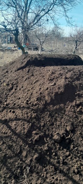 Pamant vegetal pt gazon sau gradina