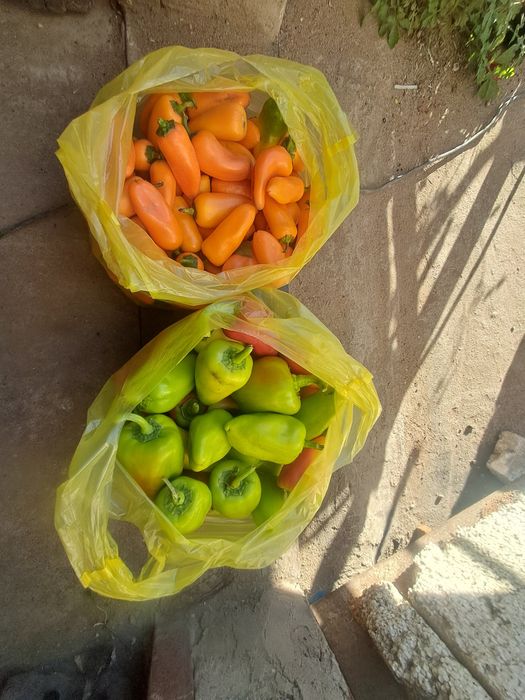 Продам домашний перец квашеная капуста баклажаны