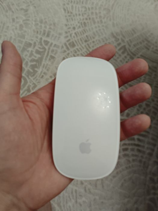 Apple magic mouse 2