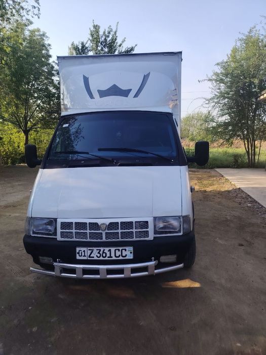 Gazel sotka sotiladi