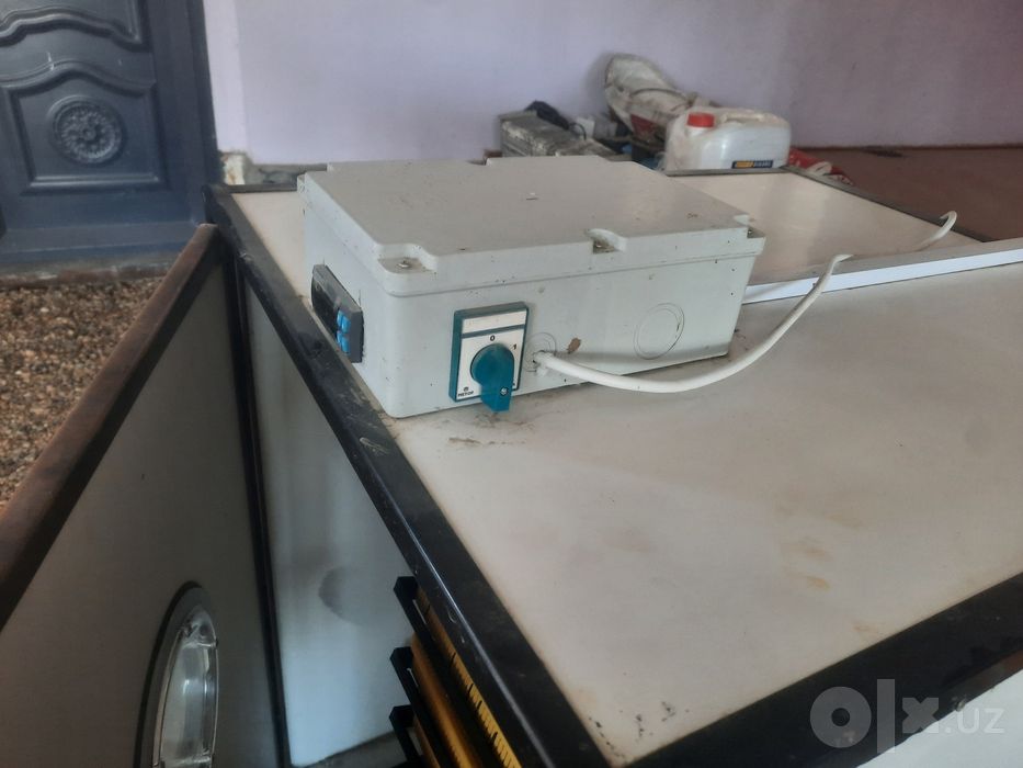 Инкубатор 500+ та тухум кетади. INKUBATOR