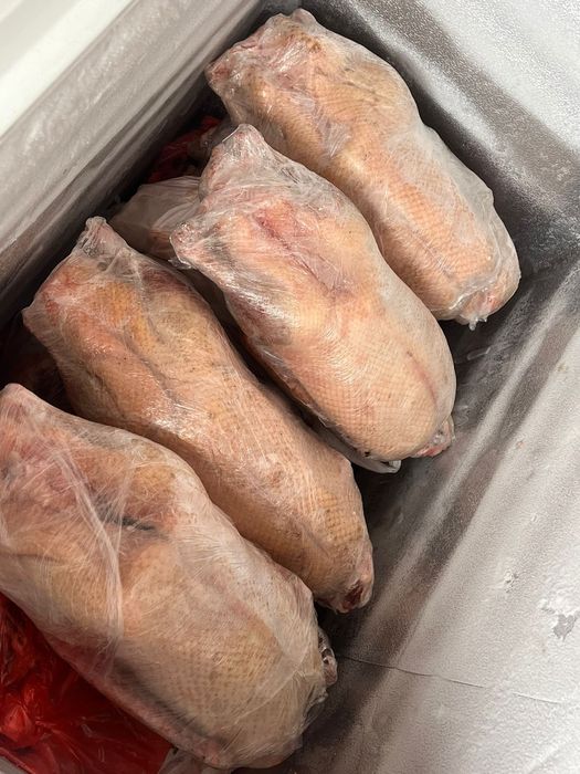 Продам мясо гуся