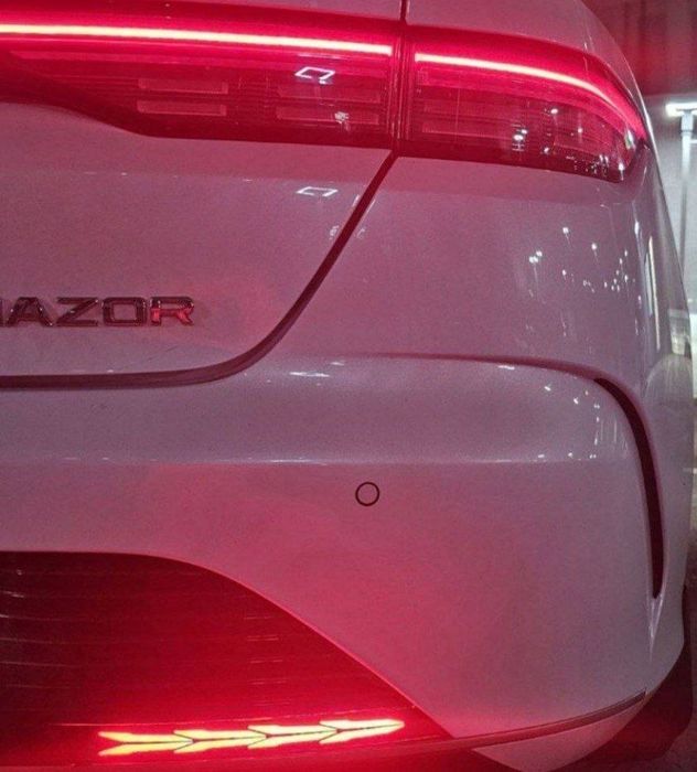 BYD Chazor (Чазор)га туманка ва гармдори олди, орқа