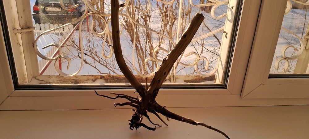 Коряга в аквариум