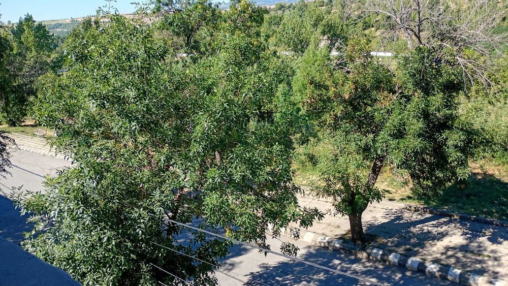 Продава се Тристаен апартамент в София, Илинден - 58 кв.м за 352 €/кв.м - Снимка #12