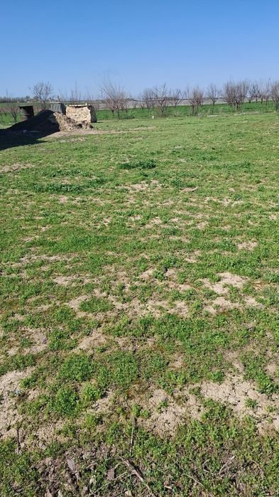 Участок 8 соток сайрамская улица 65