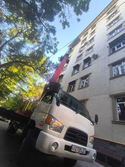 Шаҳардаги энг ишончли автовишкалар | Ҳақиқий арзон нархда ижарага олиш