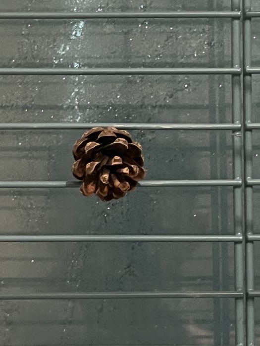 Продаю клетку для попугаев