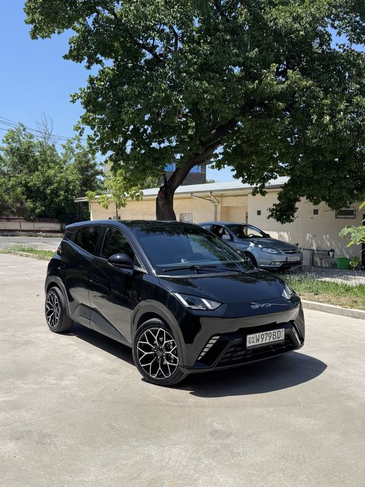 Arenda BYD seagull 2023 yil