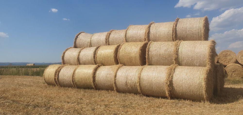 Baloti din paie de orzoaica