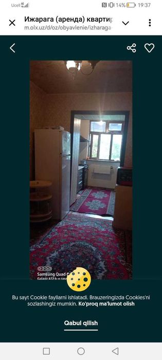 Ijaraga qizlar qo‘yiladi