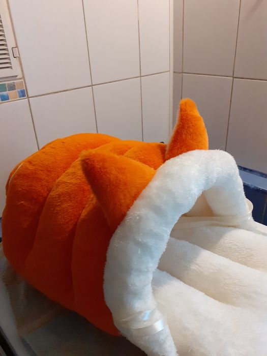 Лежанка для котят новая