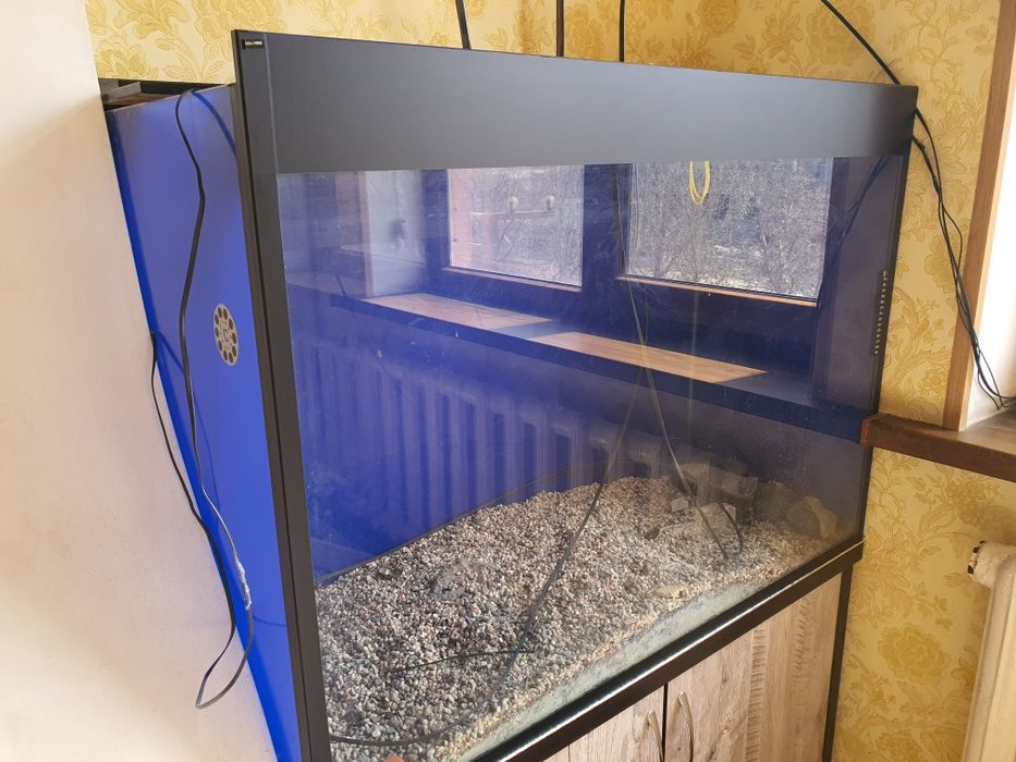 Срочно аквариум сотилади