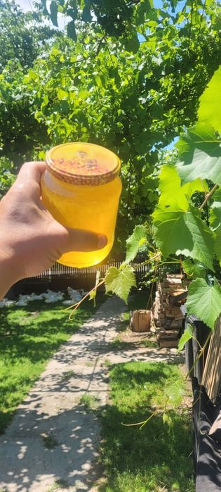 Miere naturala din stupina proprie